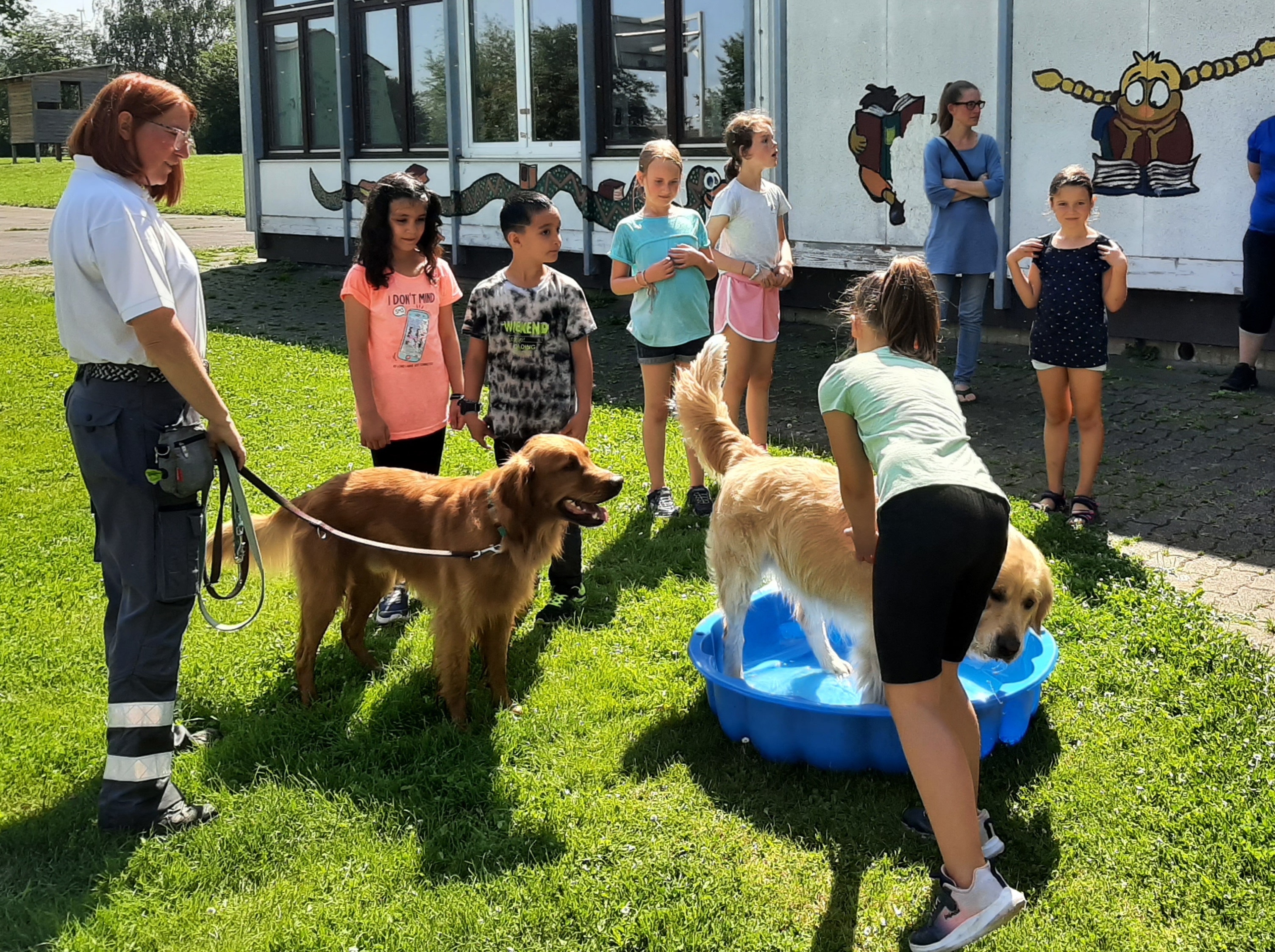 Hunde in der  Sommerferienbetreuung KW 31