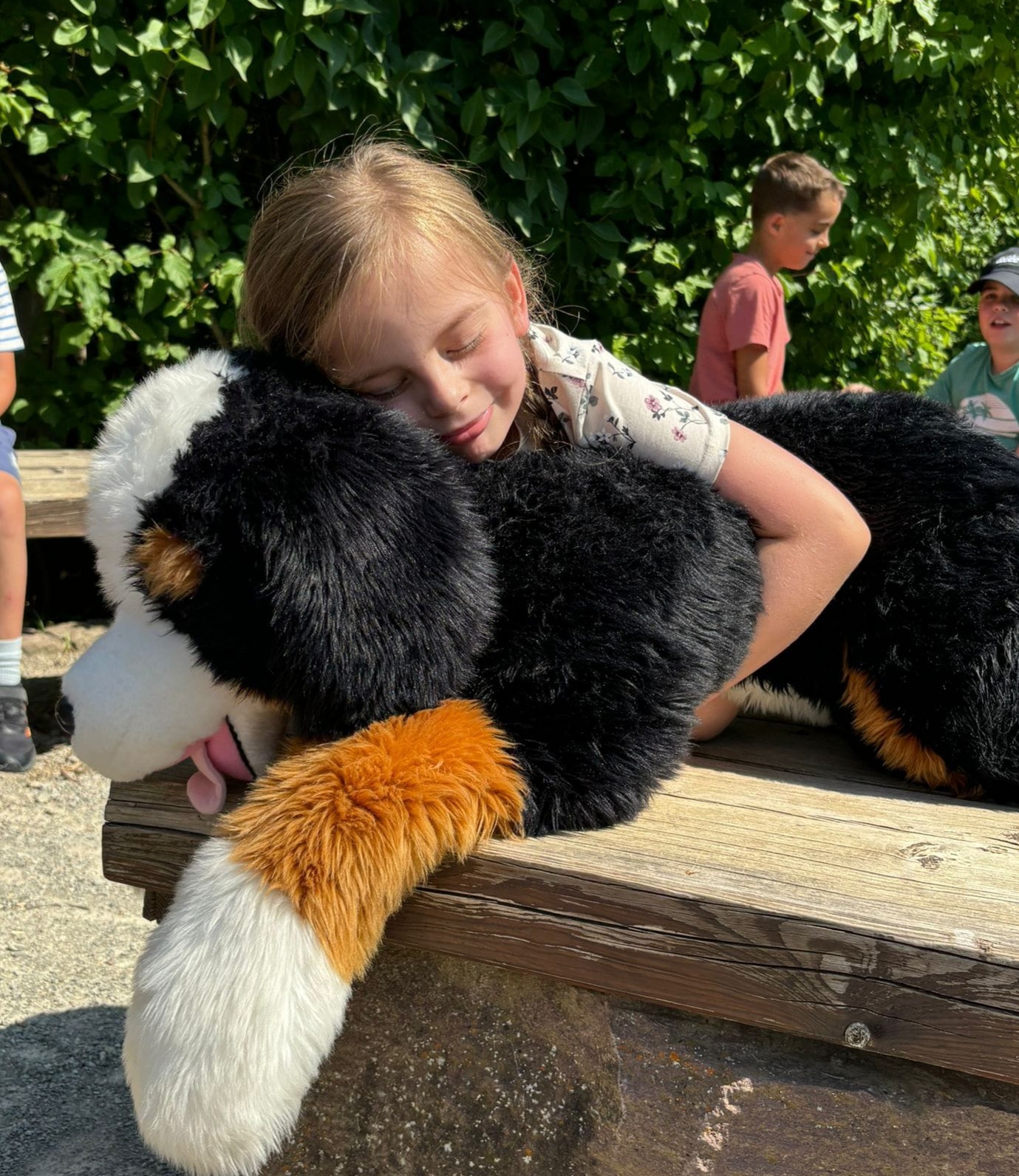 Hunde in der Sommerferienbetreuung KW 31